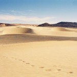 Footprints in sand in Sahara desert in Mauritania